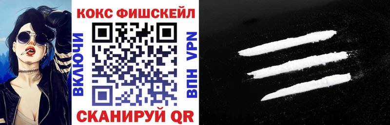 Кокаин FishScale  Купить закладки  Мыски 